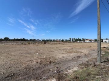 Lote Urbano 57.500€ Foros de Salvaterra