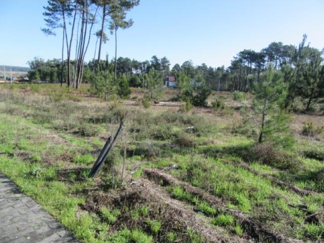 Lotes urbanos em Vieira de Leiria