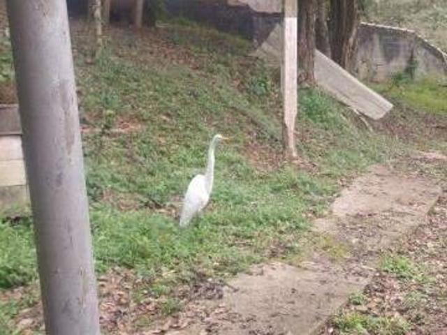 Lotes à venda na Borda do Campo em São Bernardo do Campo SP