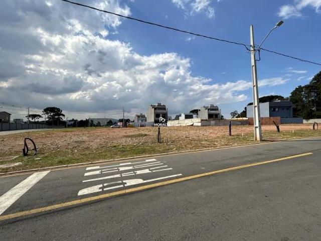 Lotes à venda em condomínio fechado Costeira São José dos Pinhais