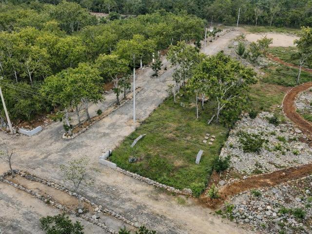 Lotes campestres eco sustentables en venta en Muxupip, Yucat?n