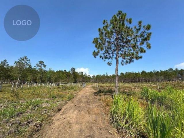 Lotes campestres en Venta en Jitotol, Chiapas