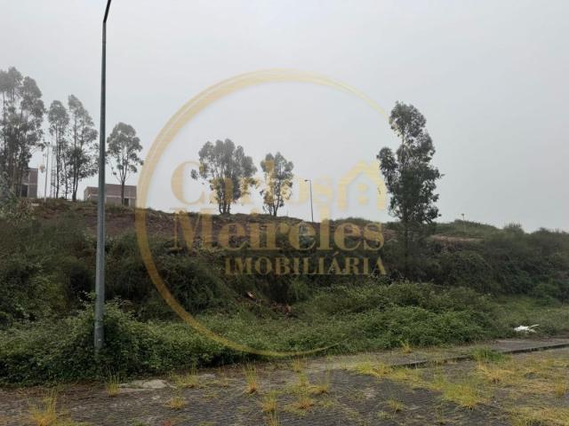 Lotes com Projeto Aprovado