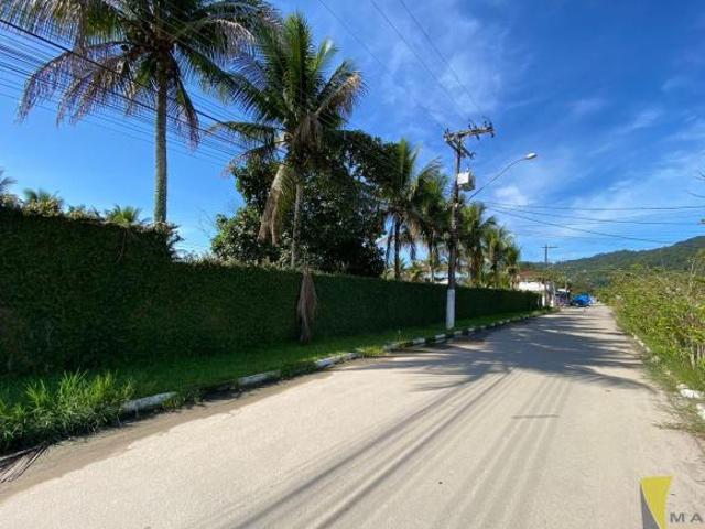 Lotes de 302 m2 limpos e com documentação OK na estufa 2