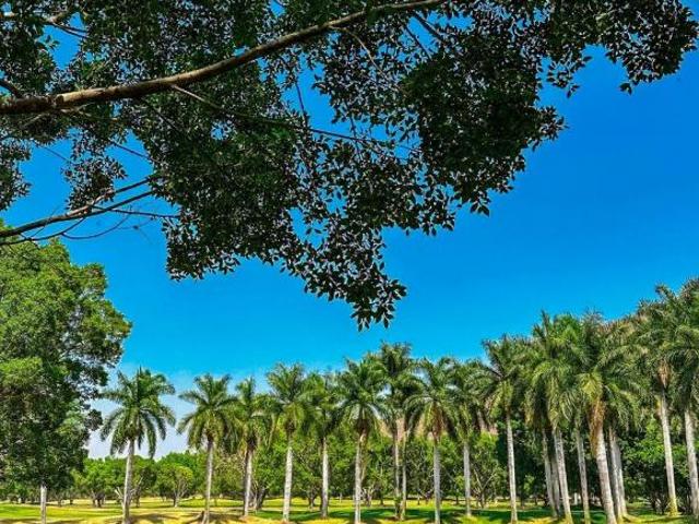 LOTES DE TERRENO EN VENTA, CLUB DE GOLF HACIENDA SAN GASPAR