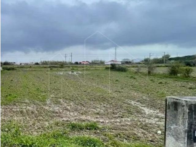Lotes de Terreno para Construção | São Bernardo