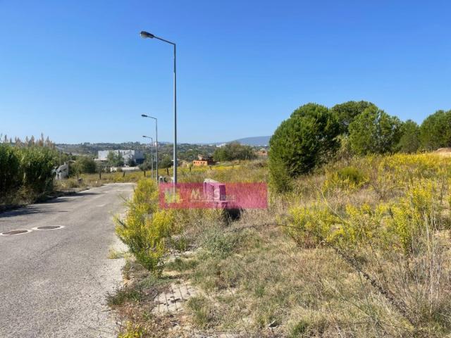 Lotes de Terreno para Moradias