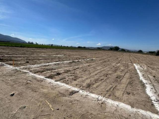 lotes de terreno