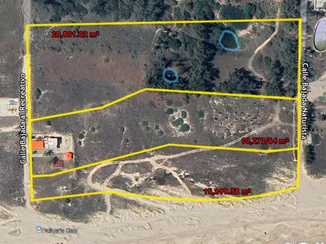 Lotes en Venta con Frente de Playa y Concesión de Zona Federal