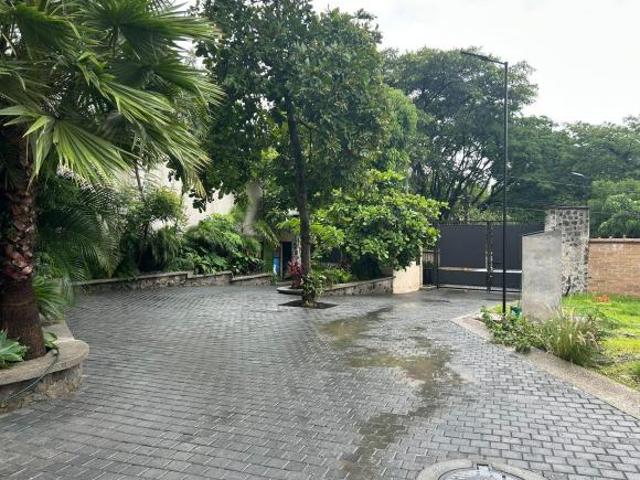 Lotes en venta en fracc. con vigilancia. Acapantzingo, Cuernavaca