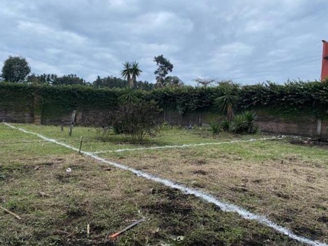 LOTES EN VENTA EN MI RANCHITO XICOTEPEC DE JUAREZ PUEBLA