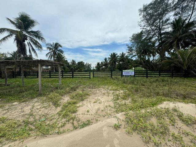 TERRENO EN VENTA FRENTE A PLAYA EN TUXPAN, VERACRUZ BARRA GALINDO