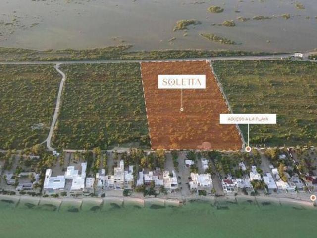LOTES EN VENTA SOLETTA A TAN SOLO UNOS MINUTOS D ELAS PLAYAS DE CHICXULUB