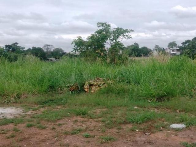LOTES EN BREÑA