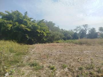 Lotes en Financiamiento en Zacatepec, col. 20 de noviembre