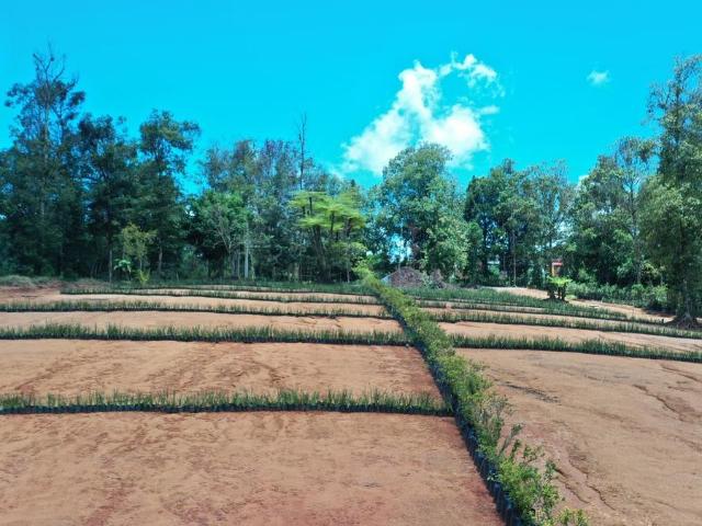 LOTES EN PASEOS DE SANTA FE, SAN ISIDRO, XICOTEPEC