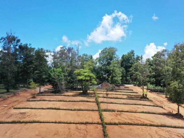 LOTES EN PASEOS DE SANTA FE, SAN ISIDRO XICOTEPEC