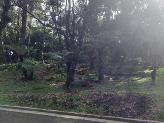 Lotes no condominio O Bosque em Gramado