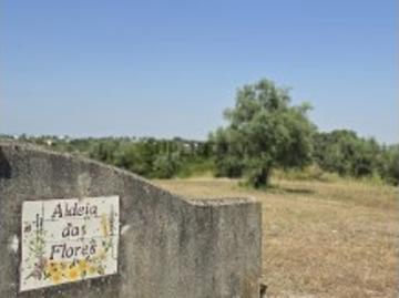 Lotes para Construção Aldeia das Flores Santarém