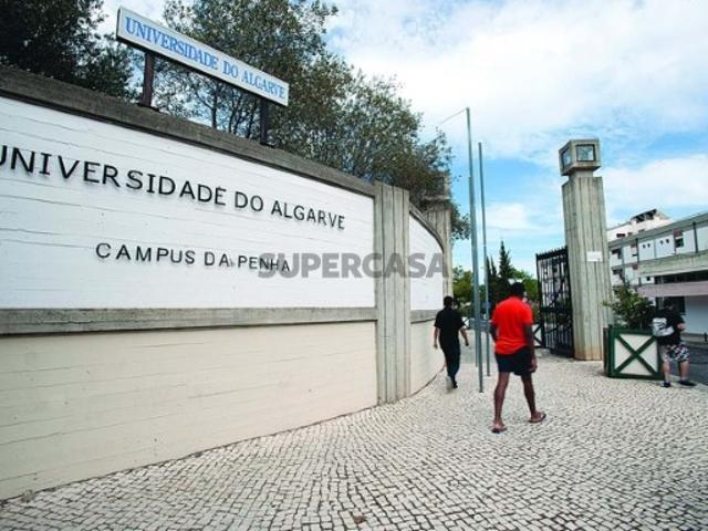Lotes para desenvolver construção de 65 fogos