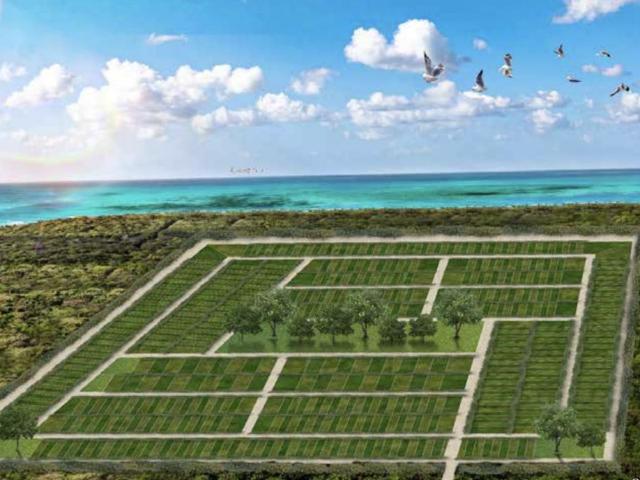 LOTES PLAYA GAVIOTAS EN VENTA, UBICADOS EN CHABIHAU, PUERTO DE SAN CRISANTO