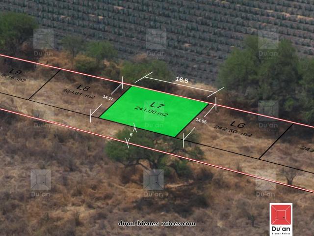 LOTES RANCHO GRANDE