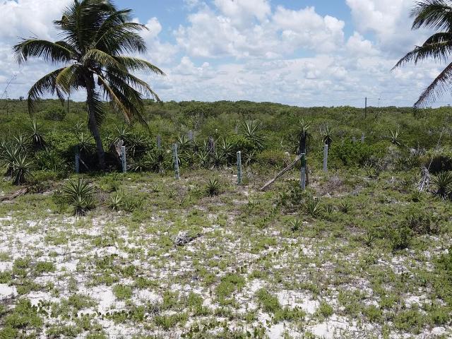 Lotes residenciales a pie de playa con 10 metros de frente