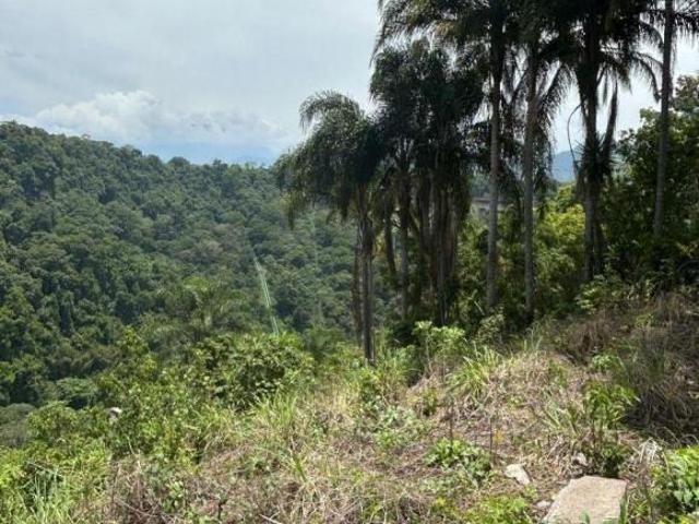 Lotes Residenciales en Venta | Fortín de las Flores, Veracruz