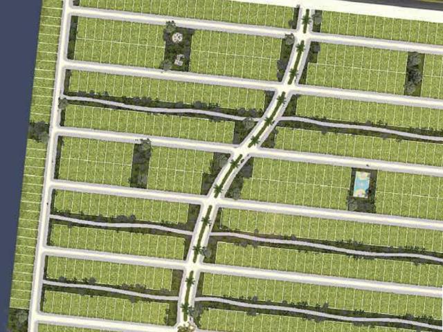 LOTES SEM URBANIZADOS EN VENTA UBICADOS EN DZILAM GONZALEZ, YUCAT?N
