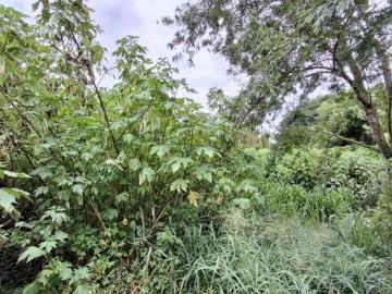 Lotes/Terreno para venda no Bairro Jardim Recreio, em Ribeirão Preto