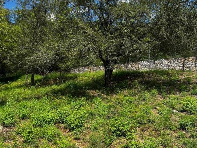 Lote/terreno en las Misiones