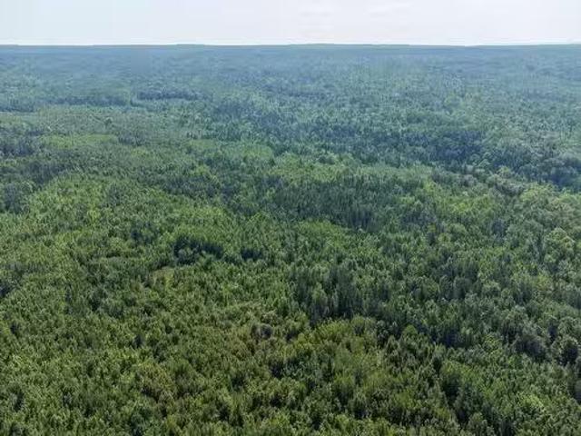 Lots Mcnally Road, Victoria Harbour, NS, B0P 1C0 vacant land.