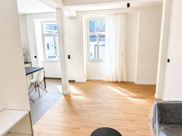 Lots of space, fully furnished, spacious 2.5 room flat in Gerber Living