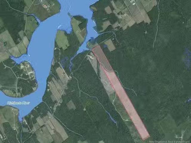 Lots Route 510, Targettville, NB, E4T 1S6 vacant land for sa.