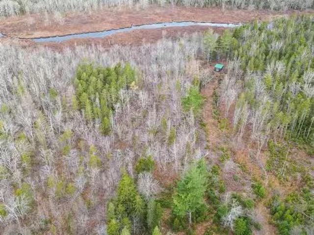 Lots Sissiboo Road, Bear River, NS, B0S 1B0 vacant land for.