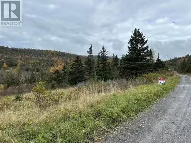 Lots 0 3 Neddies Harbour Road, Norris Point, NL, A0K 3V0 vac.