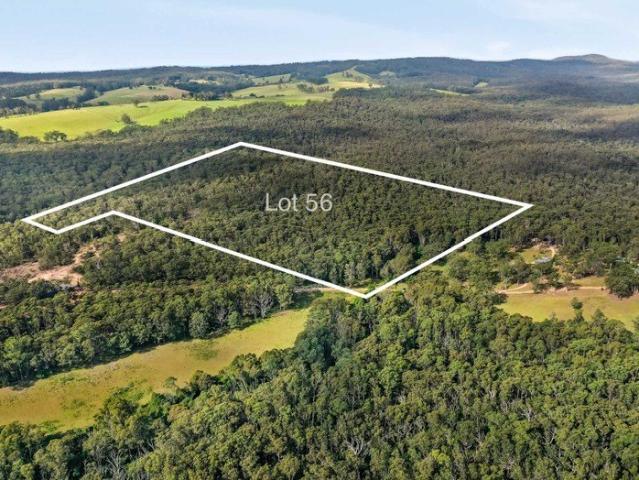 Lots 19 + 56 Mimosa Park Road Build, Escape, Preserve, The Choice Is Yours