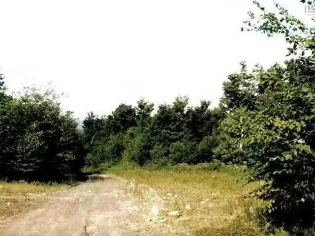 Lots 2 & 3 Big Brook Road, Big Brook, NS, B0E 2Y0 vacant lan.
