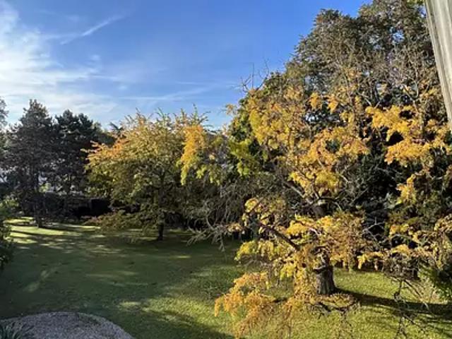 Louveciennes 78430 Achat / Vente maison 16 pièces t16 piscine