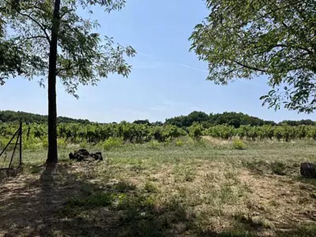 Louzac Saint André 16100 Achat / Vente maison 2 pièces t2 au dernier étage parking