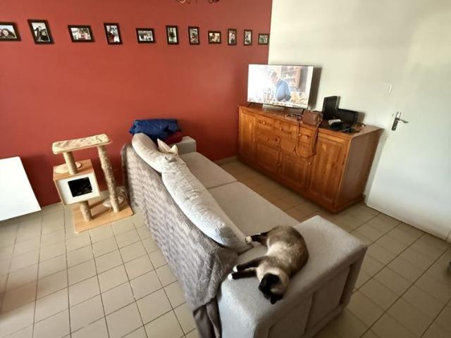 LOUÉ APPARTEMENT JANZE