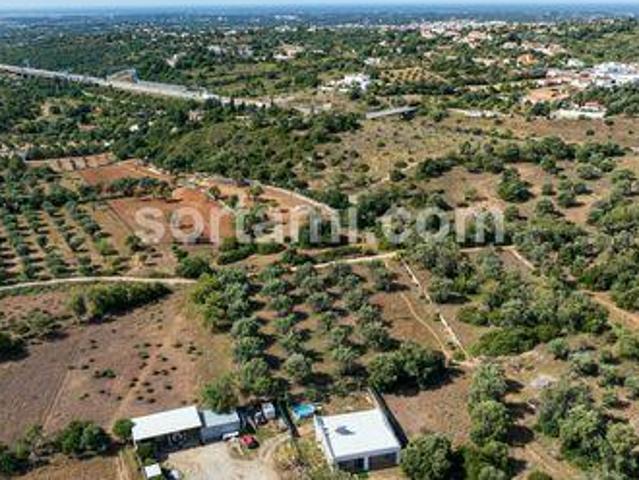Loule Faro LS102759777