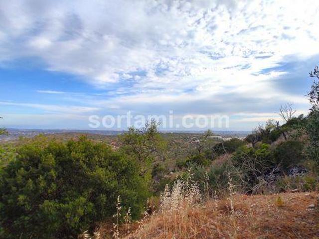 Loule Faro 96331092