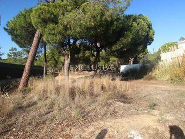 Loulé Faro 96332603