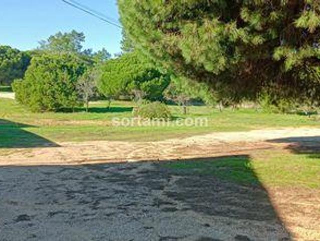 Loule Faro 98336231