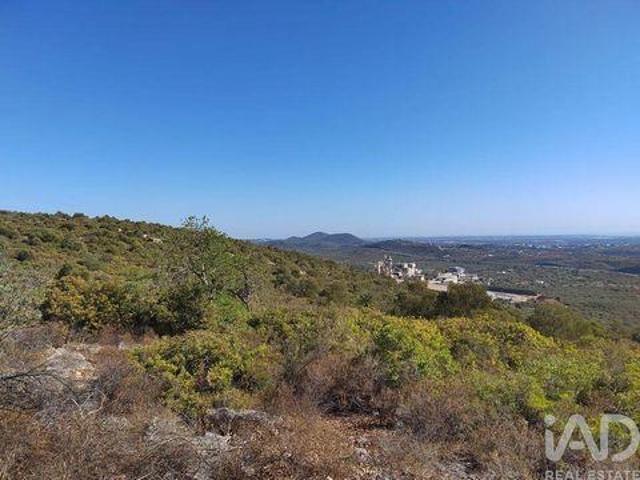 Loule Faro 99773042