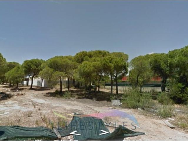 Loulé Loulé 8135 011 93112683