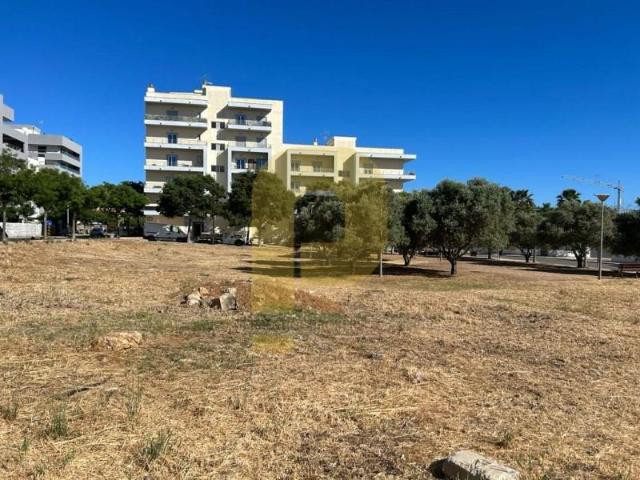 Loulé Loulé 87099388