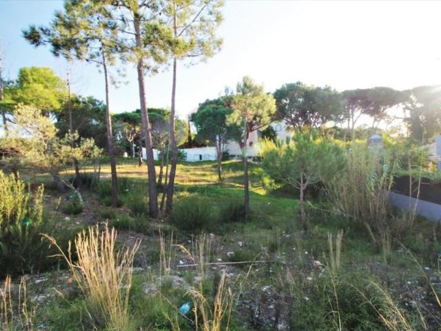 Loulé Loulé 94447580