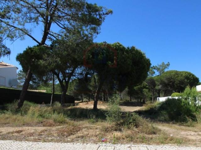Loulé Loulé LS94674566